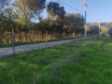 Imagen 6