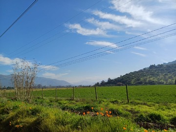 Venta / Parcela / Curacaví