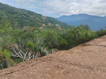 Imagen 9