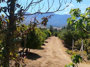 Venta / Parcela / Curacaví