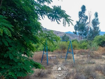 Imagen 9
