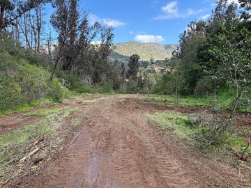 Venta / Parcela / Curacaví