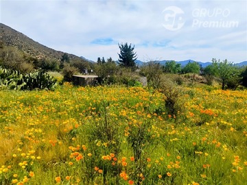 Imagen 36