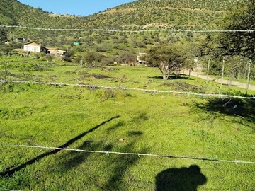 Imagen 6