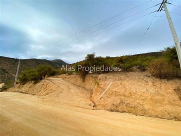 Imagen 13