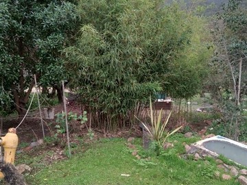 Imagen 17