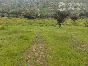 Imagen 15