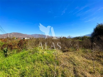 Imagen 17