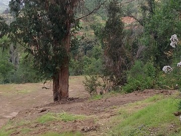 Imagen 8
