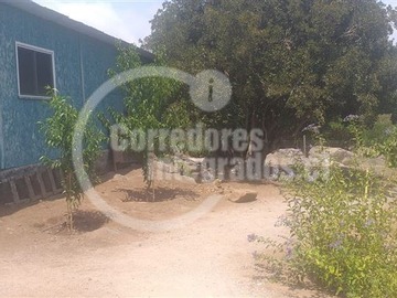 Imagen 16