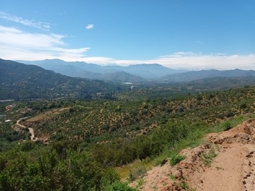 Imagen 5