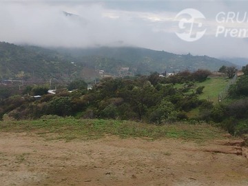 Imagen 11