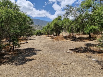 Imagen 7