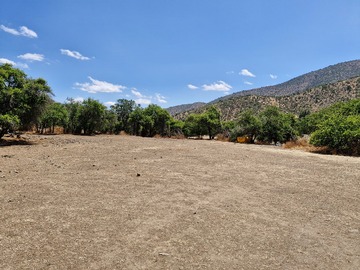 Venta / Parcela / Curacaví
