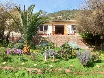 Venta / Parcela / Curacaví