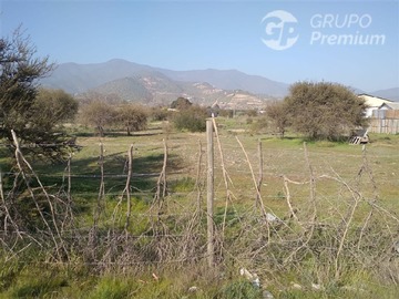 Imagen 13