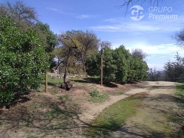 Imagen 21