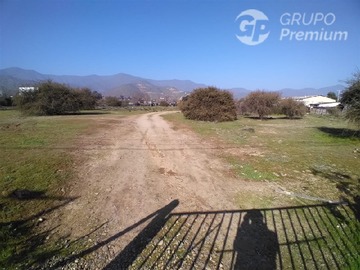 Imagen 15