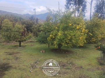 Venta / Parcela / Curacaví