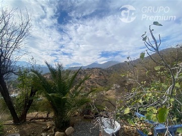 Imagen 17