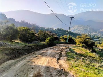 Imagen 6