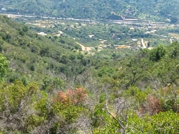 Imagen 8