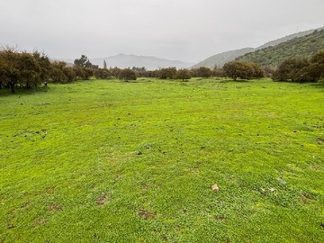 Venta / Parcela / Curacaví