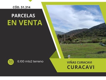 Venta / Parcela / Curacaví