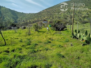 Imagen 7