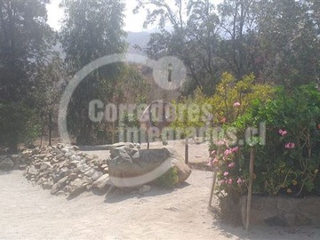 Imagen 23