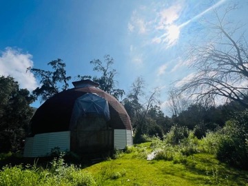 Venta / Parcela / Curacaví