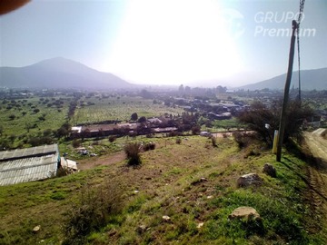 Imagen 5