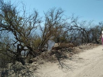 Imagen 4
