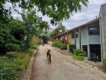 Venta / Parcela / Curacaví