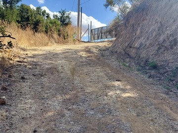 Imagen 17