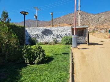 Venta / Parcela / Curacaví