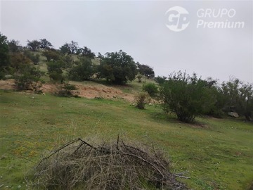 Imagen 8