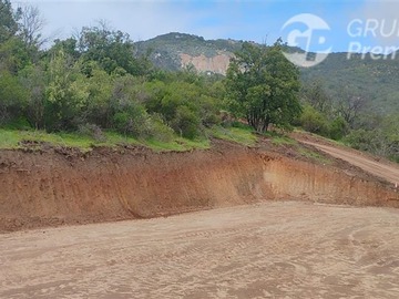 Imagen 7