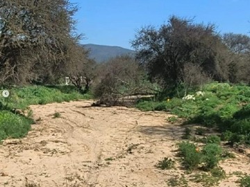 Imagen 7