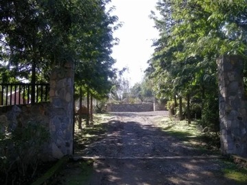 Imagen 14