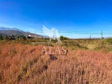 Imagen 9