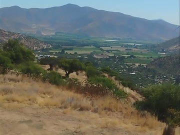 Venta / Parcela / Curacaví
