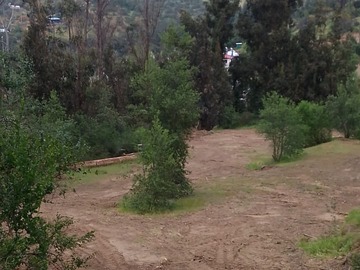 Imagen 7