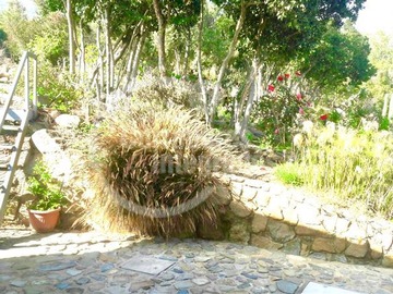Imagen 11