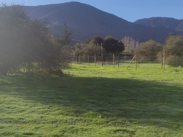 Imagen 19