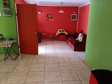 Imagen 7