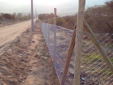 Imagen 17