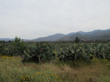 Imagen 6