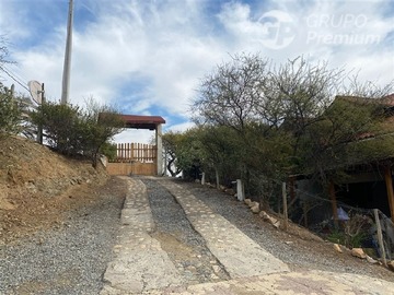 Imagen 11