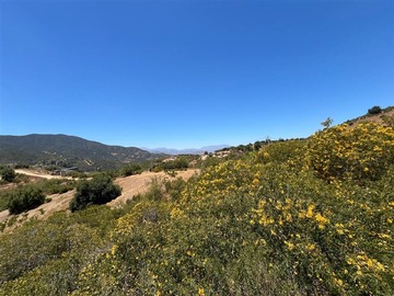 Venta / Parcela / Curacaví